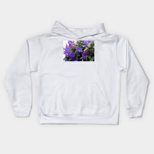 Spring Morning Glories in Blue Kids Hoodie